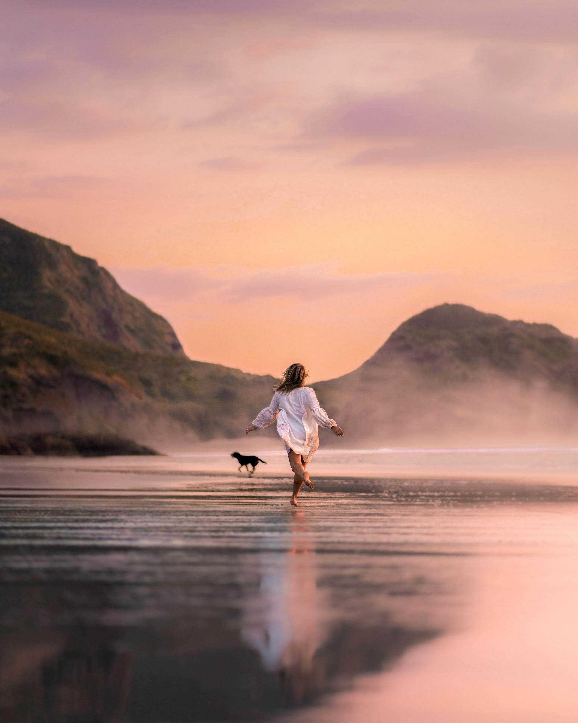 Dog running on the beach at sunset